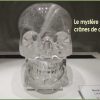 Le mystère des 12 crânes sculptés dans du cristal de roche
