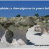 Les mystérieux champignons de pierre bulgares