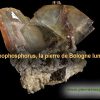 Litheophosphorus, la pierre de Bologne lumineuse