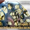 Esquel, l’une des plus belles météorites au monde