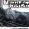 La pierre de Shaligram du dieu Vishnu